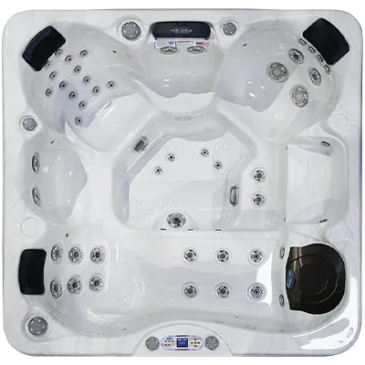 Avalon EC-849L hot tubs for sale in Fort Wayne